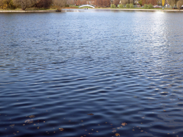 城市公园的池塘图片下载