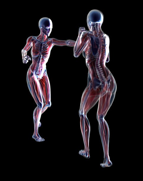 x射线的战斗图片下载