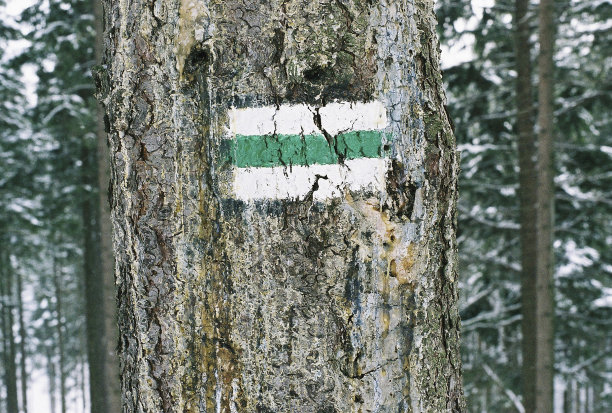 跟踪信号图片下载