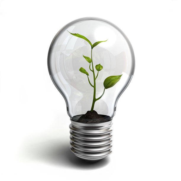 里面有绿色植物的3D灯泡图片下载