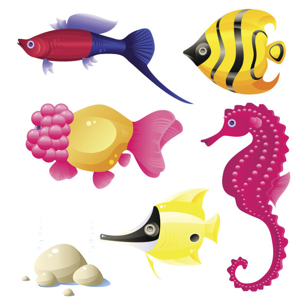 热带鱼集图片下载