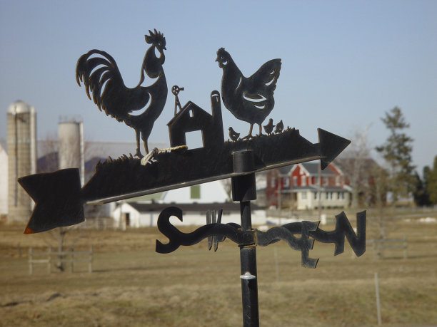 西北偏北图片下载