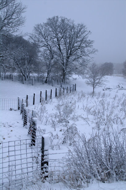 多雪的冬天里的锯齿形篱笆图片下载