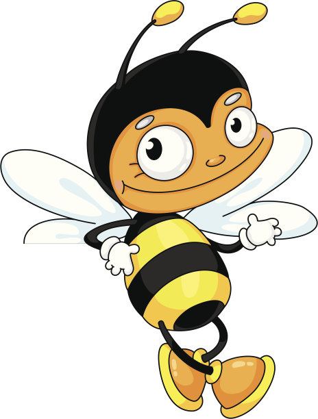 蜜蜂为空白图片下载