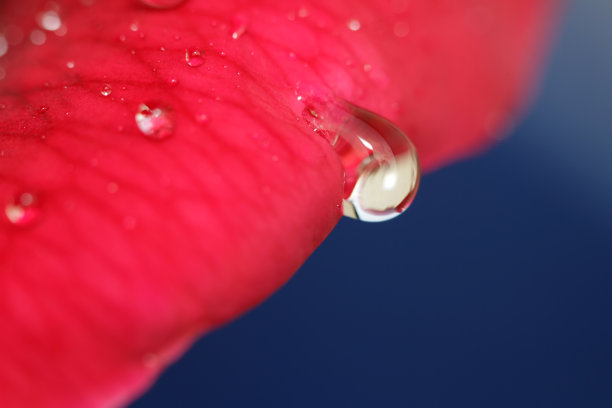 红，白，蓝图片下载