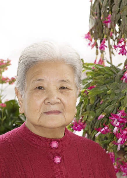 在花园里图片下载