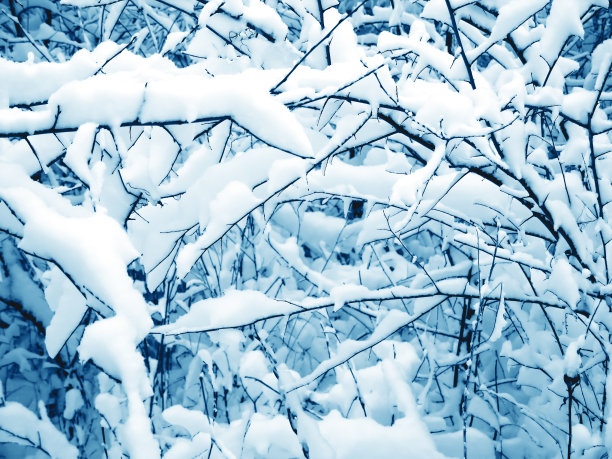 磨砂的冬季仙境图片下载