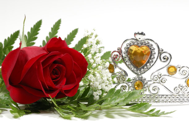 选美比赛图片下载