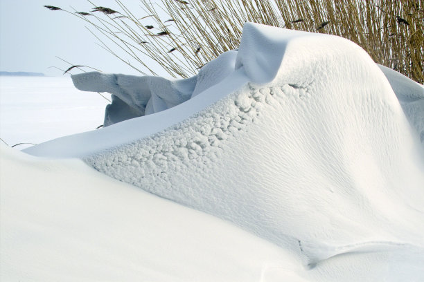 ?????？图片下载