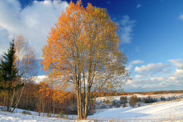 冬天秋天见面图片下载