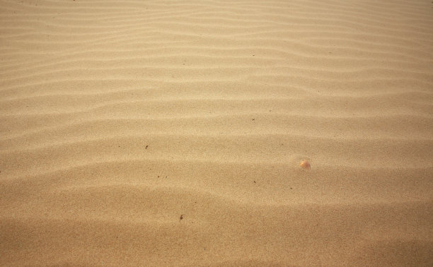 砂Backgrownd图片下载