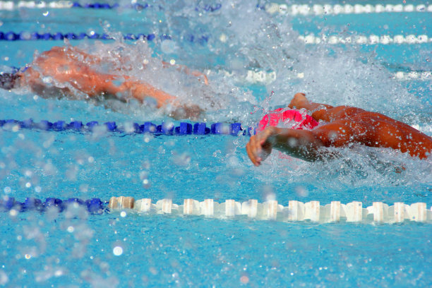 在游泳比赛中蝶泳比赛图片下载