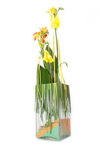 植物区系的艺术品图片下载