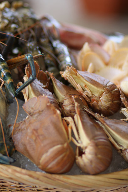 新鲜的海鲜图片下载