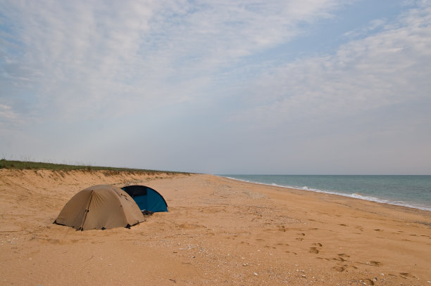 岸上海图片下载