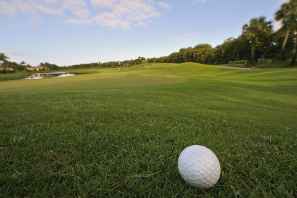 果岭沙坑上的高尔夫球图片下载