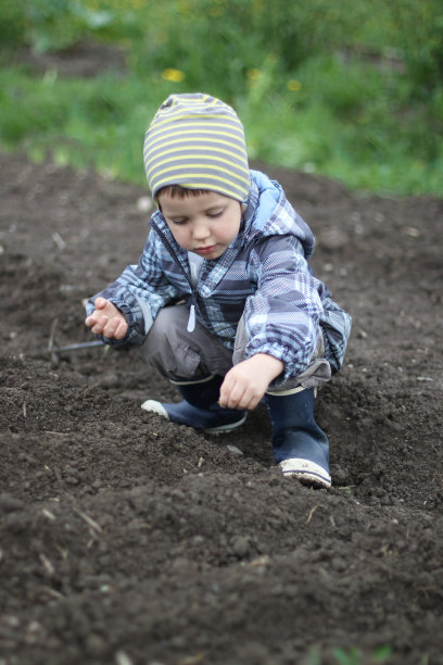 男孩播种种子图片下载