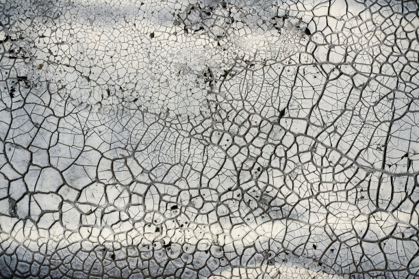 白鹤纹纹理背景图片下载