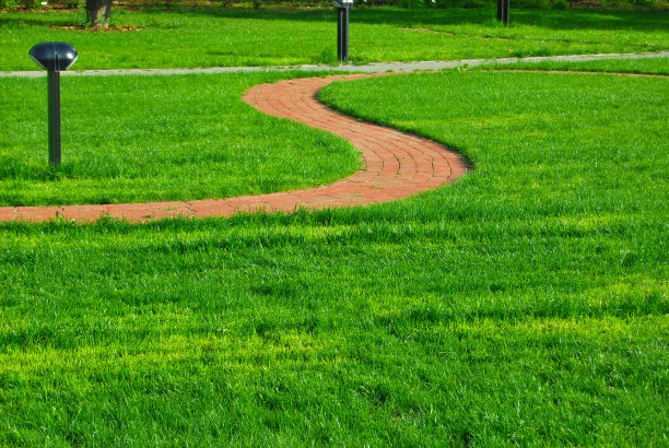 石头小径在郁郁葱葱的绿色公园里图片下载