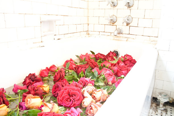 浴缸里的玫瑰图片下载