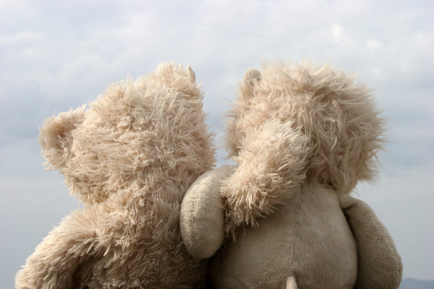 泰迪熊图片下载