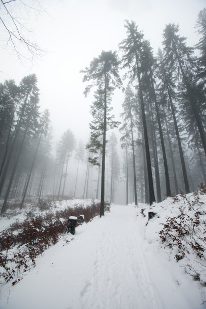 冬季的波兰山脉图片下载