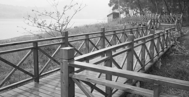 锦中公园的天际线图片下载