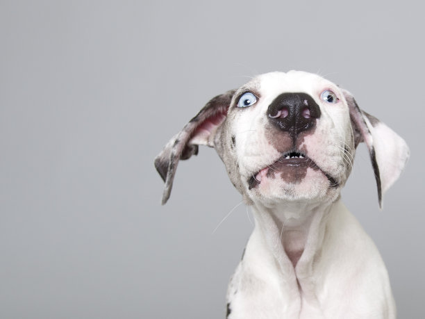 旧的蓝色的眼睛图片下载