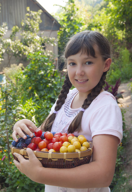 拿着一篮子水果的女孩图片下载