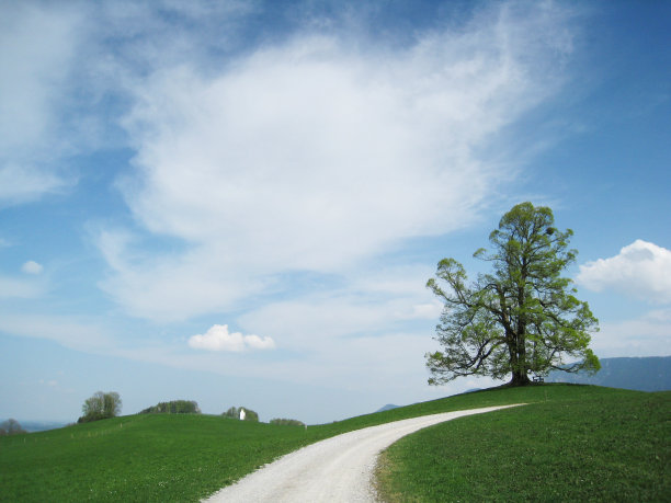 林登就在路上图片下载