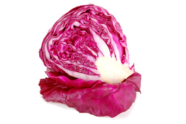 红色? abbage图片下载