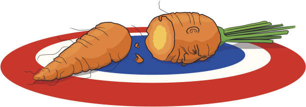 破碎和死亡的胡萝卜躺在目标。图片下载