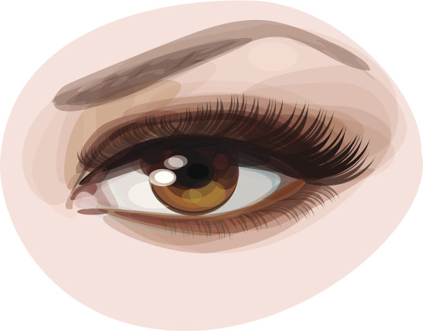 美丽的棕色女人的眼睛向量。图片下载