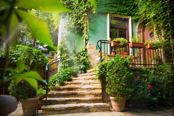 在索菲亚图片下载