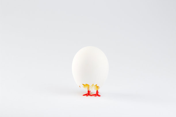 有破蛋的鸡图片下载