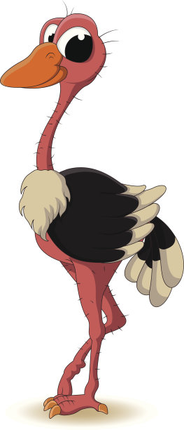 鸵鸟卡通图片下载