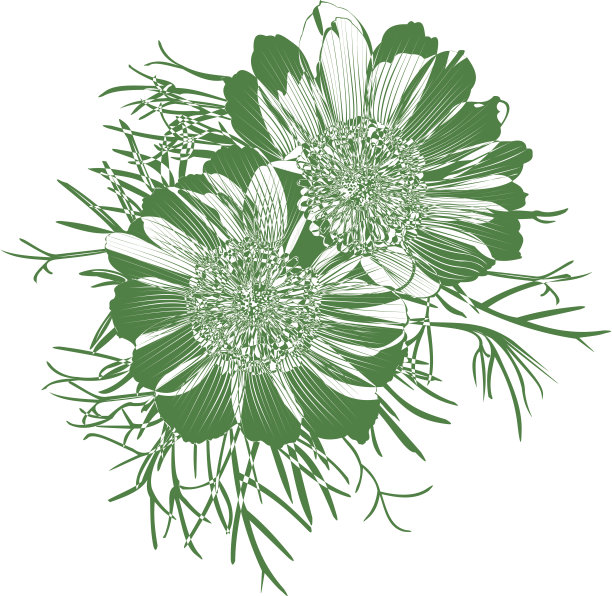 阿多尼斯抽象的颜色变化图片下载