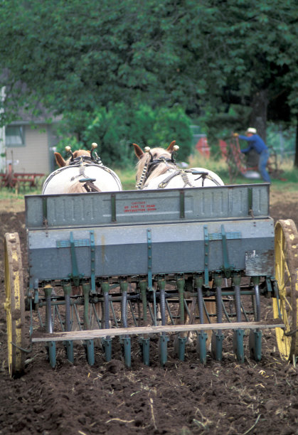 马和犁。图片下载