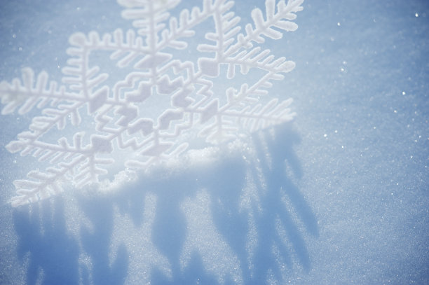 雪花在冬日的阳光下闪闪发光图片下载