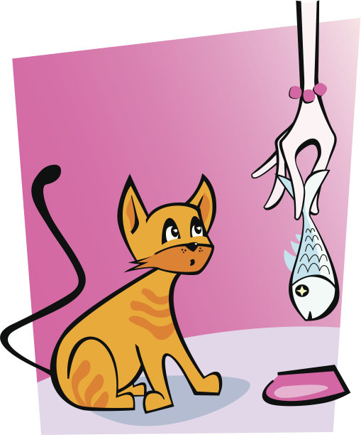 小猫在找一条鱼图片下载