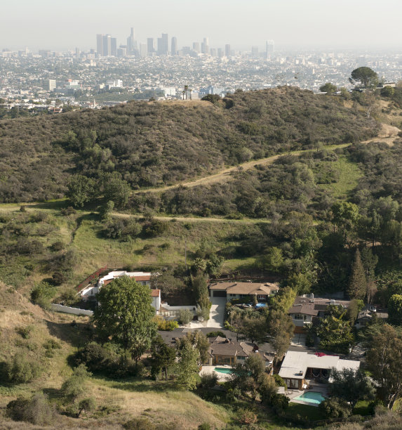 加州，洛杉矶的天际线，前景是房子图片下载