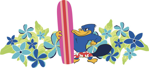 花卉冲浪的场景图片下载