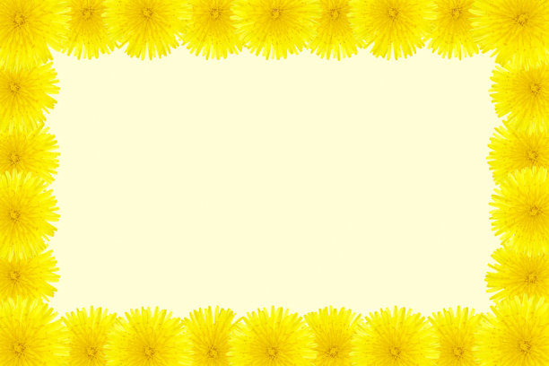 蒲公英框架图片下载