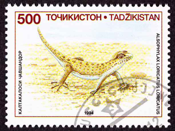 取消塔吉克斯坦邮票连指壁虎，蜥蜴，紫趾龙图片下载