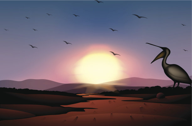 和一群鸟在沙漠日落图片下载