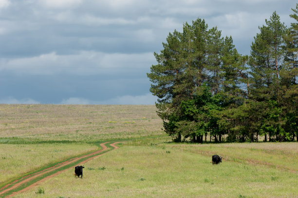 乡间小路图片下载