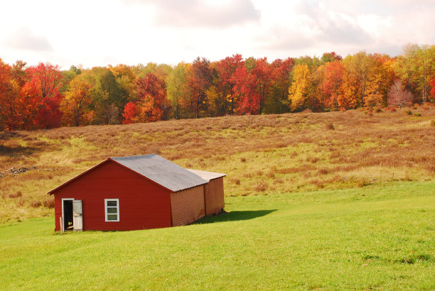 存储仓库图片下载