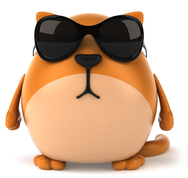 有趣的猫图片下载