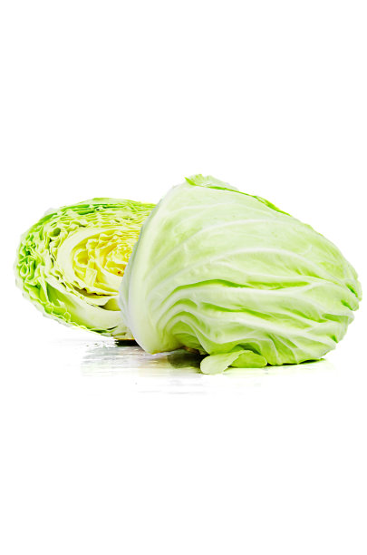 卷心菜图片下载