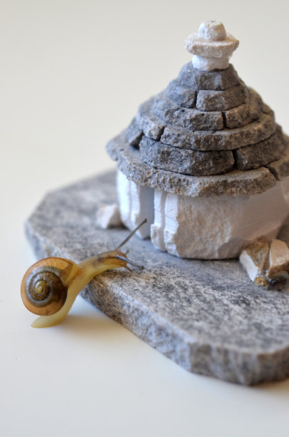 欢迎回家图片下载